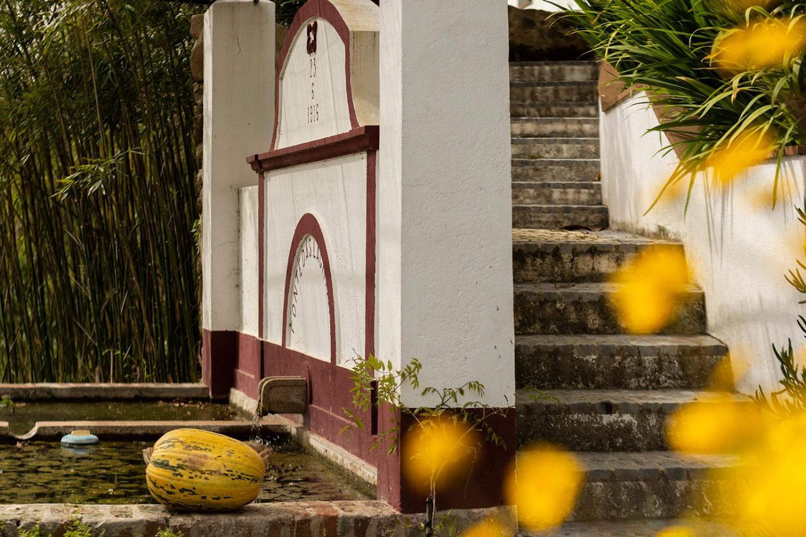 Appartamento Quinta Da Asneira Montemor-o-Novo Esterno foto