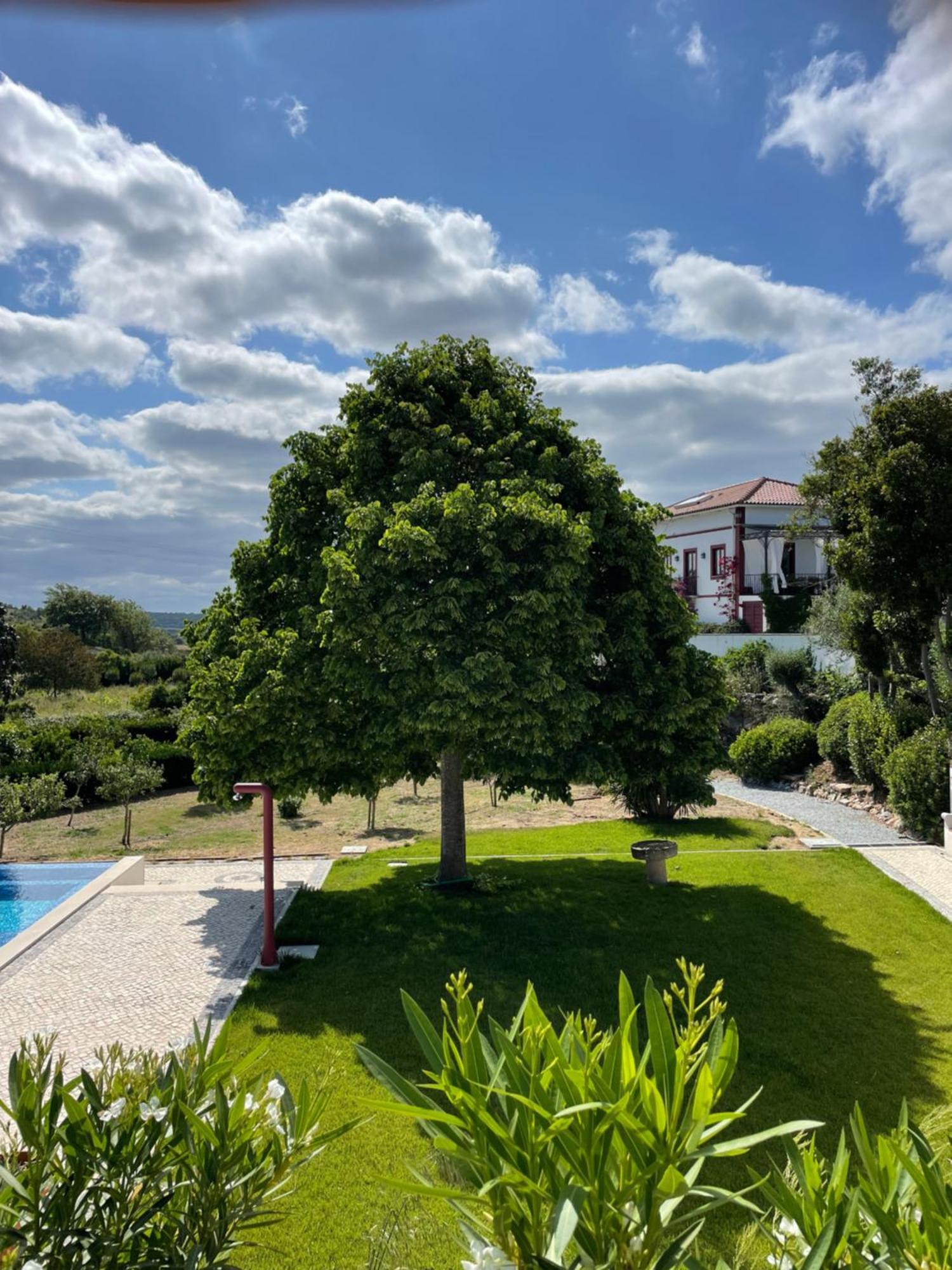 Appartamento Quinta Da Asneira Montemor-o-Novo Esterno foto